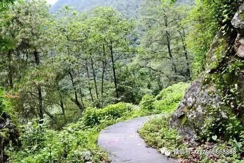 【曝光台】违停车辆曝光!你文明停车了吗?(七十六)