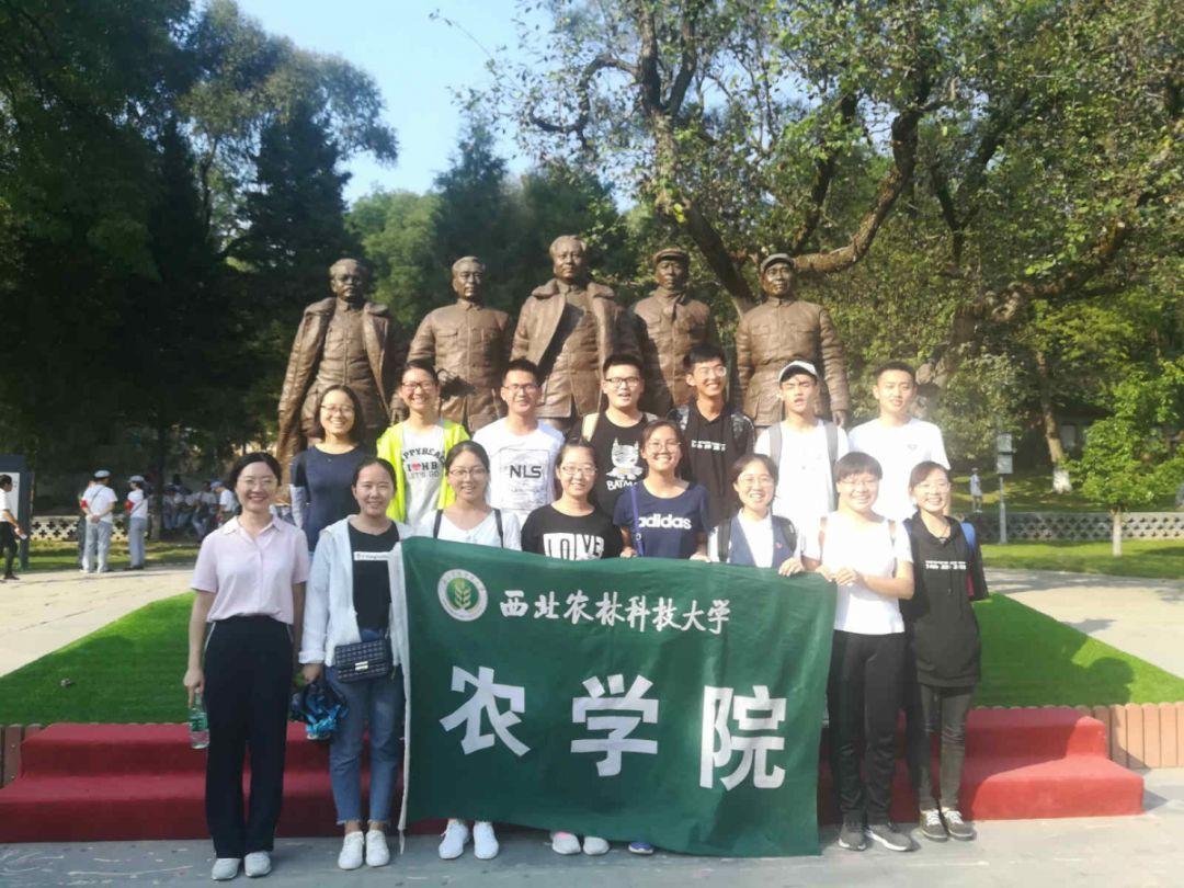 大寒始-年味至#安全用电你我湘联