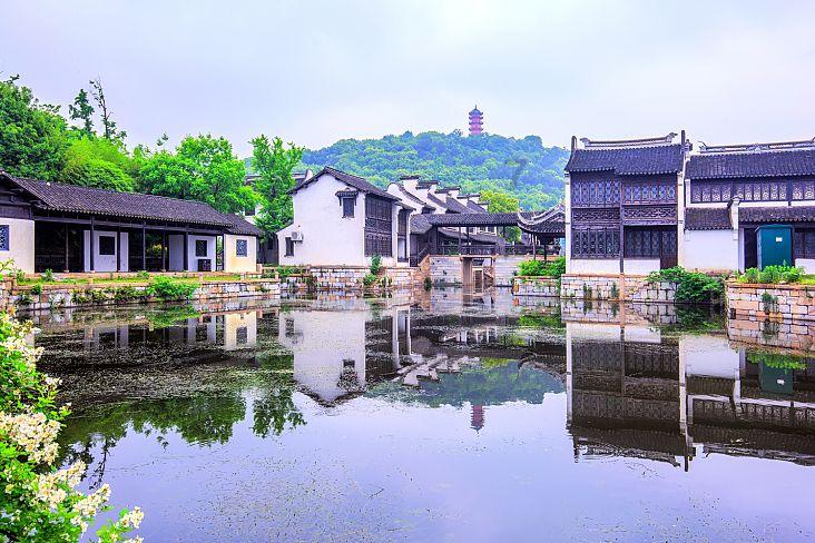 辽宁东北虎队 可能迎来百万级外援 他比暴脾气韦世豪还要叛逆